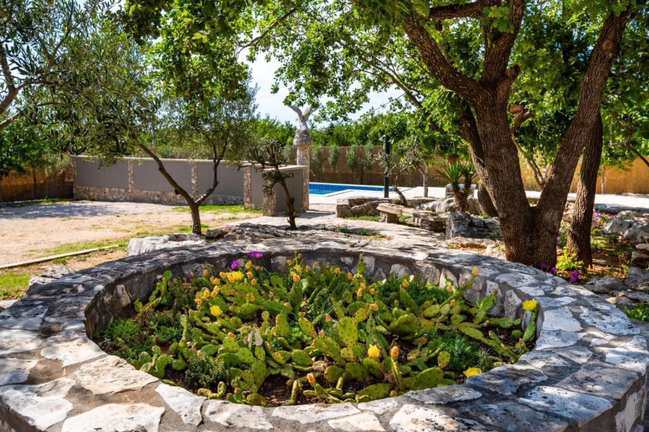 Villa Eagle Benkovac Εξωτερικό φωτογραφία