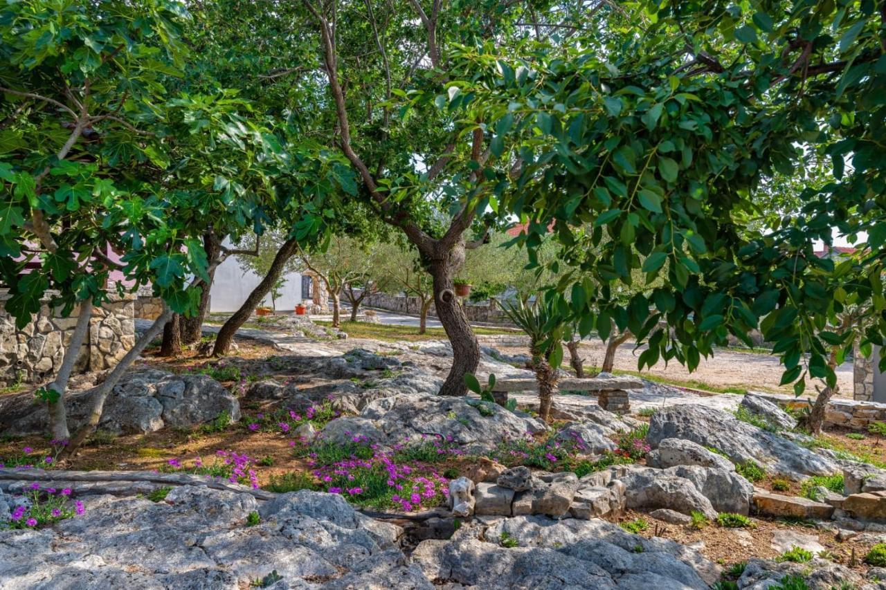 Villa Eagle Benkovac Εξωτερικό φωτογραφία