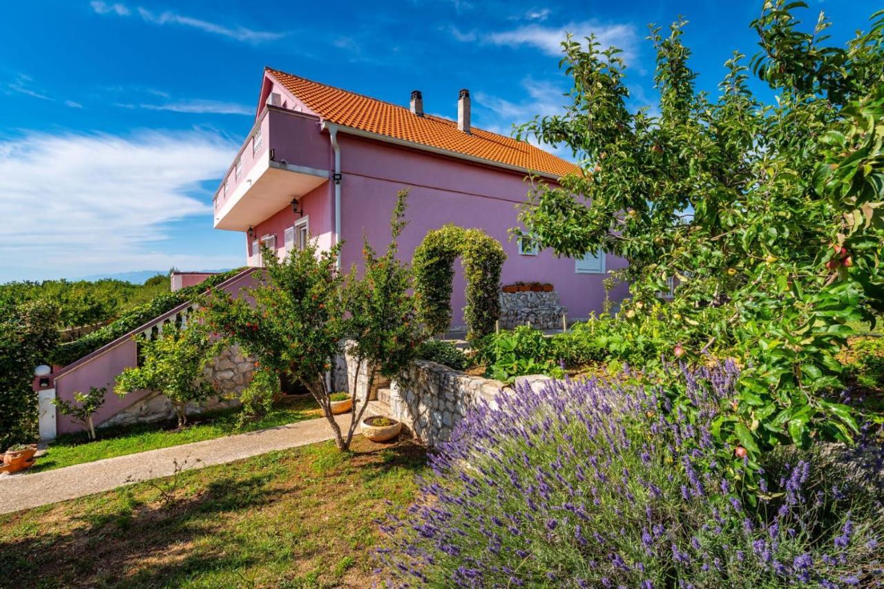 Villa Eagle Benkovac Εξωτερικό φωτογραφία