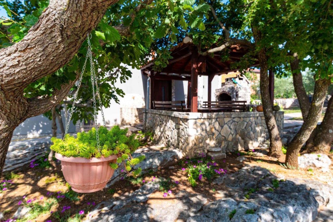 Villa Eagle Benkovac Εξωτερικό φωτογραφία
